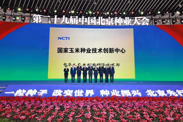 OEŷ��|�ٷ���վ